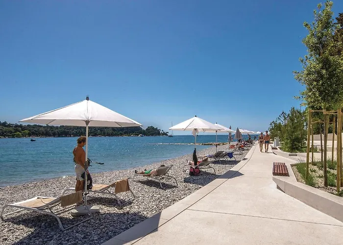 Lovely In With Wifi *